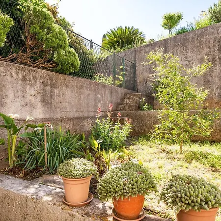 Kos Apartamento